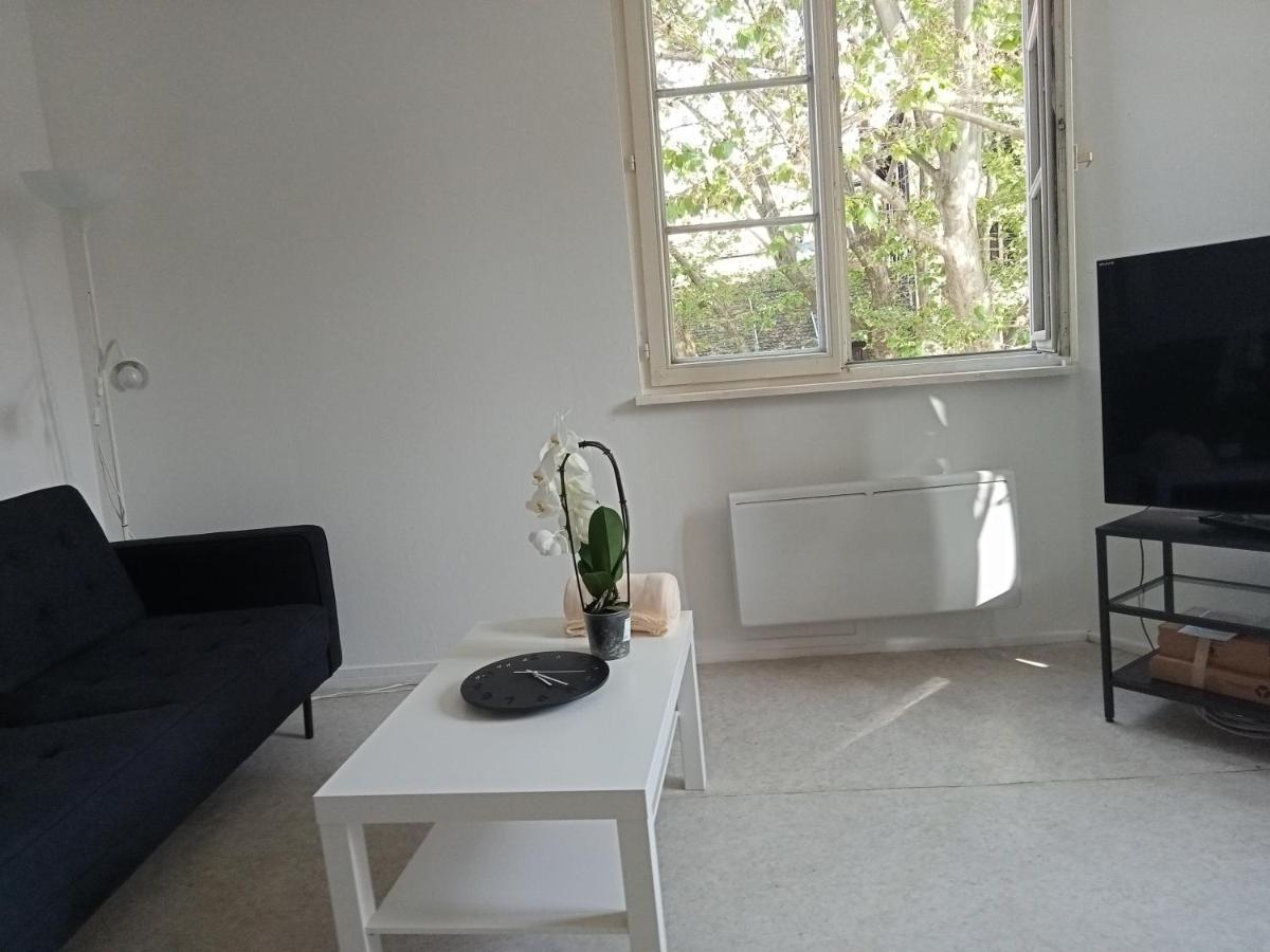 Apartamento Au Coeur De La Petite France Estrasburgo Exterior foto