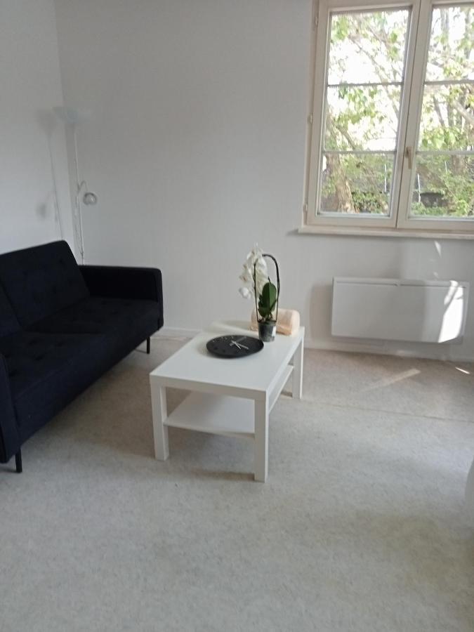 Apartamento Au Coeur De La Petite France Estrasburgo Exterior foto