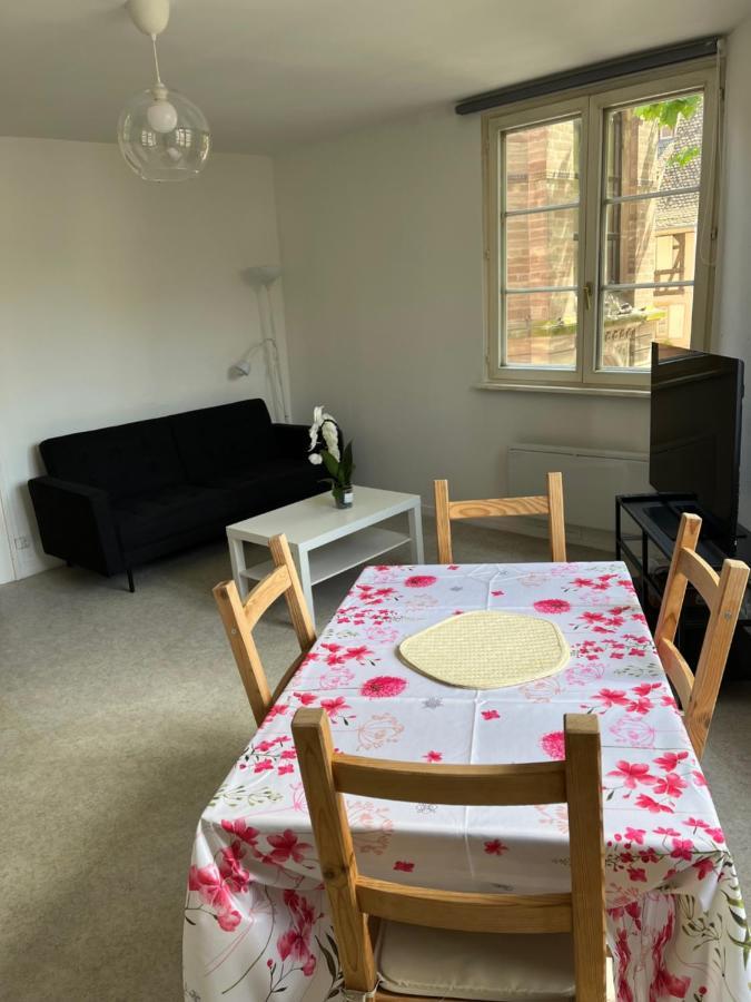 Apartamento Au Coeur De La Petite France Estrasburgo Exterior foto